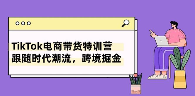 TikTok电商带货特训营，跟随时代潮流，跨境掘金(8节课-精品虚拟资源库