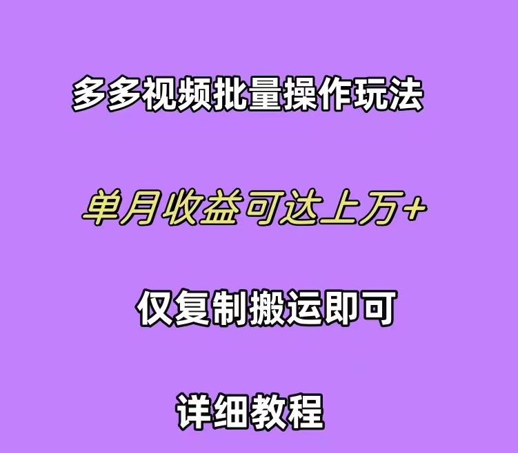 (10029期)拼多多视频带货快速过爆款选品教程 每天轻轻松松赚取三位数佣金 小白必…-精品虚拟资源库