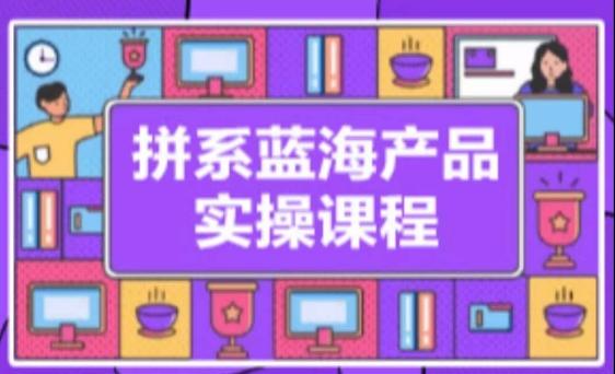拼系冷门蓝海产品实操课程，从注册店铺到选品上架到流量维护环环相扣-精品虚拟资源库