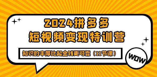 (9817期)2024拼多多短视频变现特训营，知识的丰厚比起金钱更可靠(11节课)-精品虚拟资源库