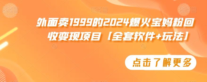 外面卖1999的2024爆火宝妈粉回收变现项目【全套软件+玩法】【揭秘】-精品虚拟资源库