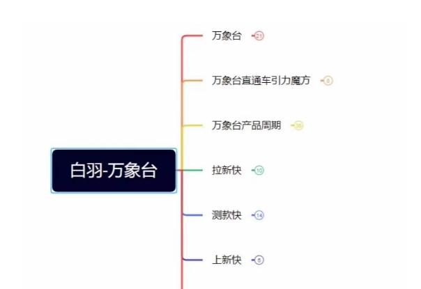 白羽·直引万搜索全篇，从0-1，多个类目实操经验总结付费-精品虚拟资源库