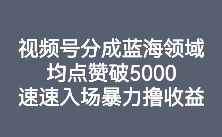 视频号分成蓝海领域，均点赞破5000，速速入场暴力撸收益-精品虚拟资源库
