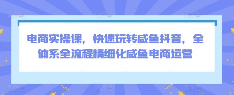 电商实操课，快速玩转咸鱼抖音，全体系全流程精细化咸鱼电商运营-精品虚拟资源库