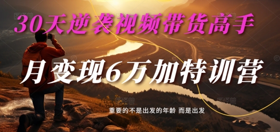 30天逆袭视频带货高手，单月变现6万加特训营-麦子甜-精品虚拟资源库
