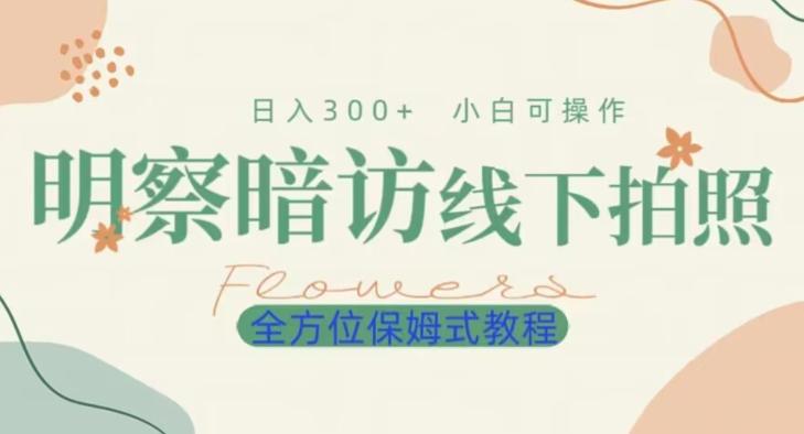 明拍暗拍项目0成本投入日入300+小白可操作保姆式全方位教程-精品虚拟资源库