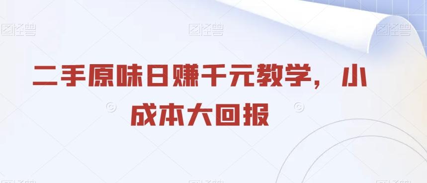 二手原味日赚千元教学，小成本大回报-精品虚拟资源库