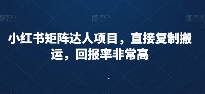 小红书矩阵达人项目，直接复制搬运，回报率非常高-精品虚拟资源库