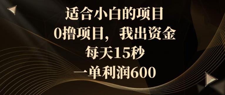 适合小白的项目，0撸项目，我出资金，每天15秒，一单利润600-精品虚拟资源库