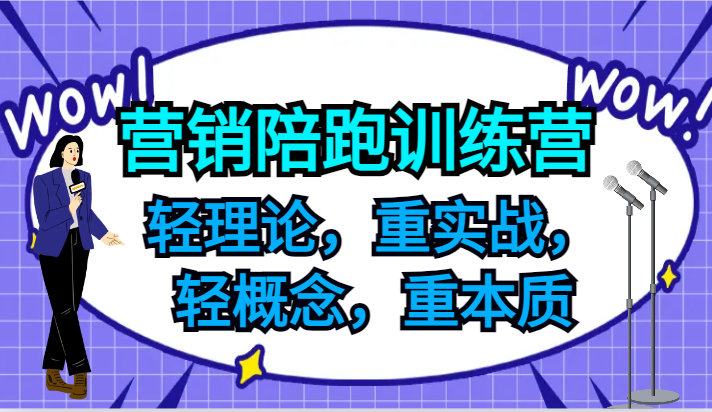 营销陪跑训练营，轻理论，重实战，轻概念，重本质，适合中小企业和初创企业的老板-精品虚拟资源库