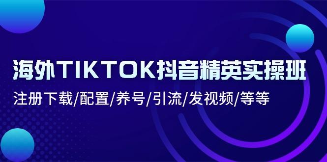 海外TIKTOK抖音精英实操班：注册下载/配置/养号/引流/发视频/等等-精品虚拟资源库