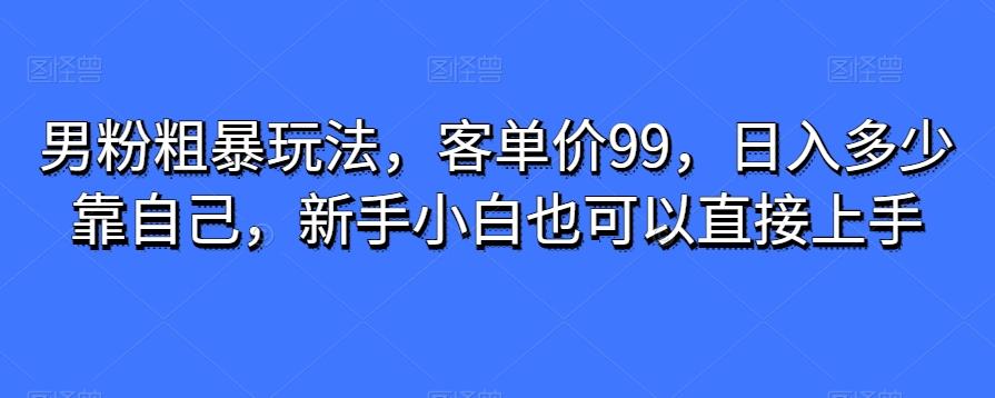 男粉粗暴玩法，客单价99，日入多少靠自己，新手小白也可以直接上手-精品虚拟资源库