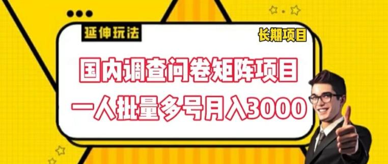 国内调查问卷矩阵项目，一人批量多号月入3000【揭秘】-精品虚拟资源库