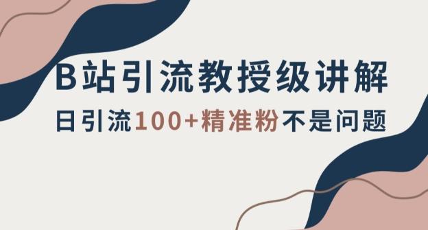 B站引流教授级讲解，细节满满，日引流100+精准粉不是问题【揭秘】-精品虚拟资源库