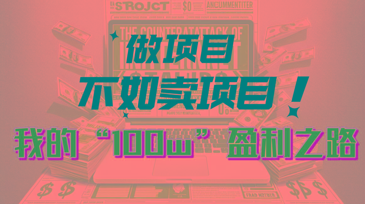 为什么做项目不如卖项目？我的100W+盈利之路-精品虚拟资源库