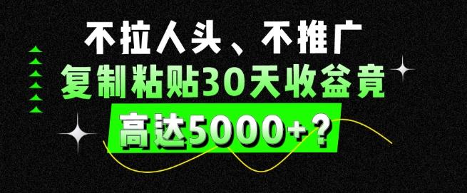不拉人头、不推广，复制粘贴30天收益竟高达5000+？-精品虚拟资源库