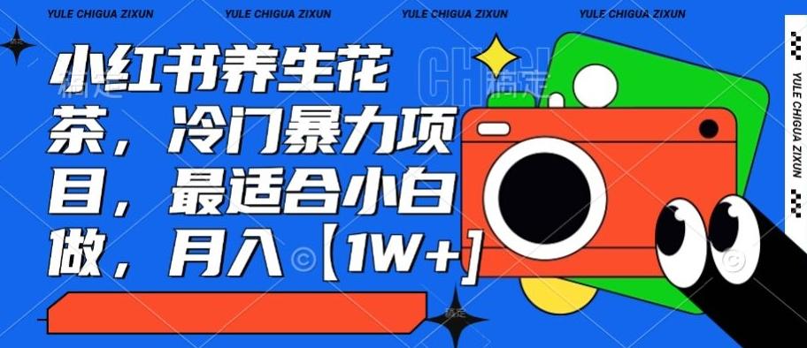 小红书养生花茶，冷门暴力项目，最适合小白做，月入【1W+】-精品虚拟资源库
