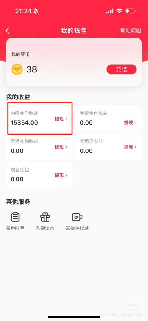 热门评论引爆小红书流量，作品制作简单，广告接到手软，月入过万不是梦-精品虚拟资源库