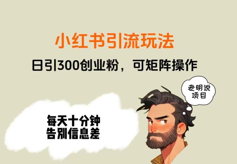 靠小红书视频日印300粉，两分钟一个视频轻松矩阵-精品虚拟资源库