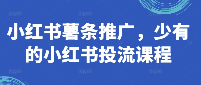 小红书薯条推广，少有的小红书投流课程-精品虚拟资源库