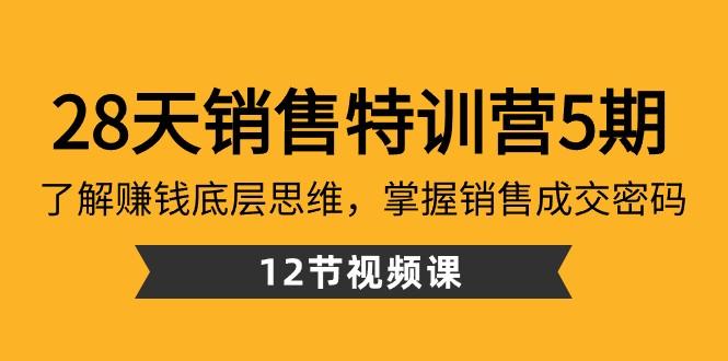 28天销售特训营5期：了解赚钱底层思维，掌握销售成交密码（12节课）-精品虚拟资源库