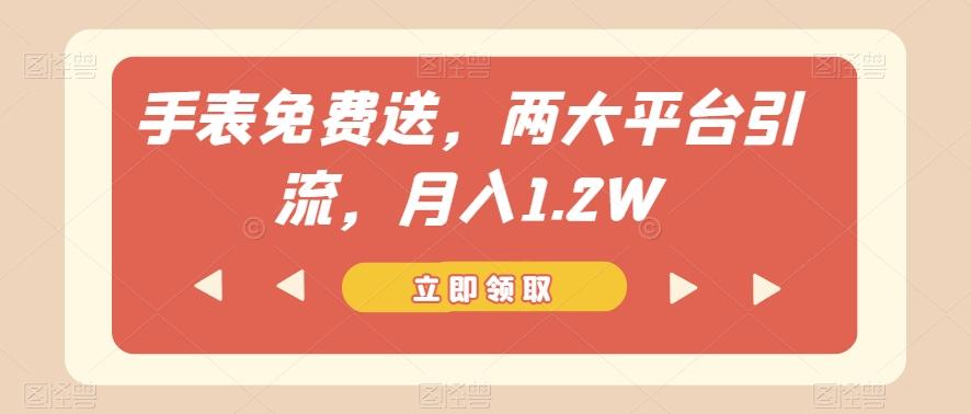 手表免费送，两大平台引流，月入1.2W【揭秘】-精品虚拟资源库