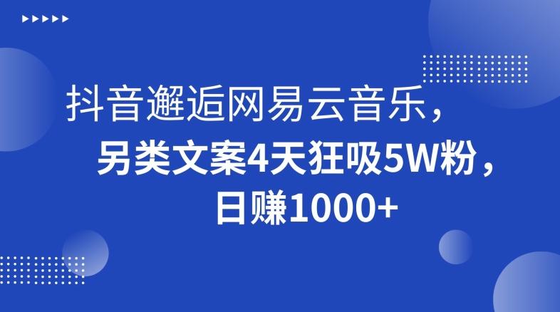 抖音邂逅网易云音乐，另类文案4天狂吸5W粉，日赚1000+【揭秘】-精品虚拟资源库