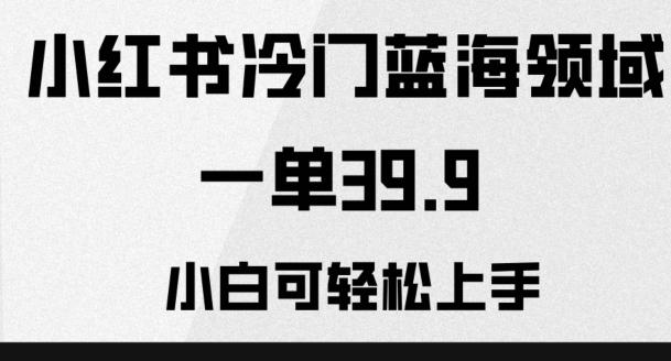 小红书冷门蓝海领域，一单39.9，小白可轻松上手-精品虚拟资源库