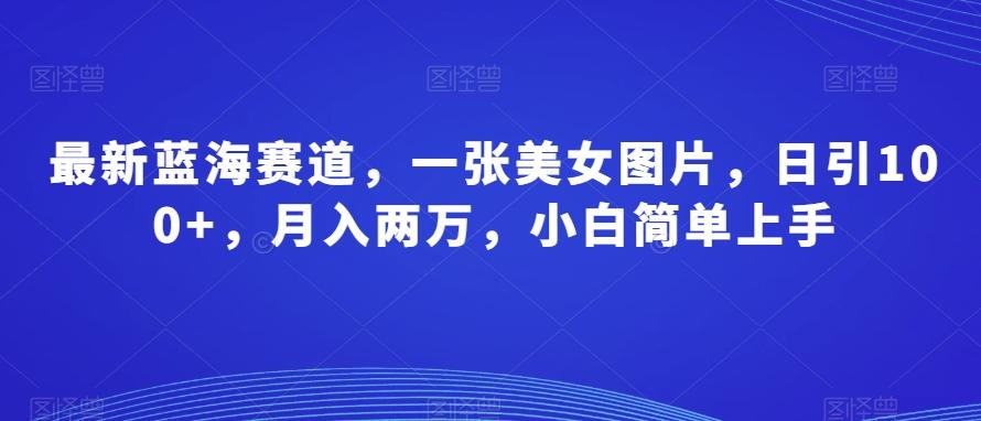最新蓝海赛道，一张美女图片，日引100+，月入两万，小白简单上手-精品虚拟资源库