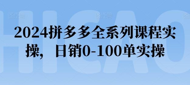 2024拼多多全系列课程实操，日销0-100单实操【必看】-精品虚拟资源库
