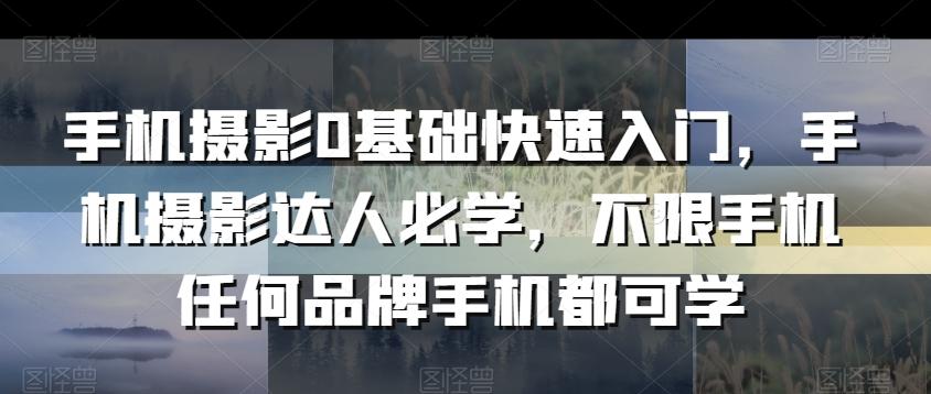 手机摄影0基础快速入门，手机摄影达人必学，不限手机任何品牌手机都可学-精品虚拟资源库