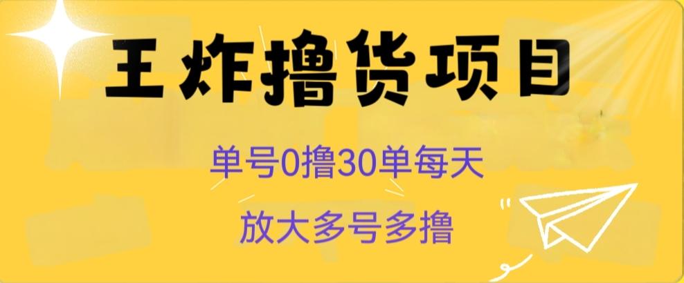 王炸撸货项目，单号0撸30单每天，多号多撸【揭秘】-精品虚拟资源库