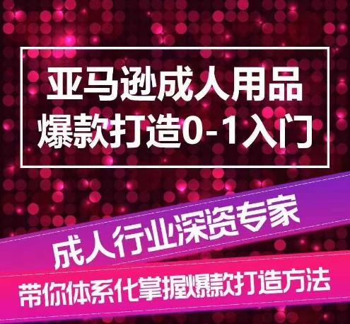 亚马逊成人用品爆款打造0-1入门，系统化讲解亚马逊成人用品爆款打造的流程-精品虚拟资源库