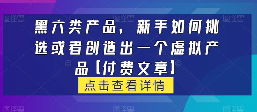 黑六类虚拟产品，新手如何挑选或者创造出一个虚拟产品【付费文章】-精品虚拟资源库
