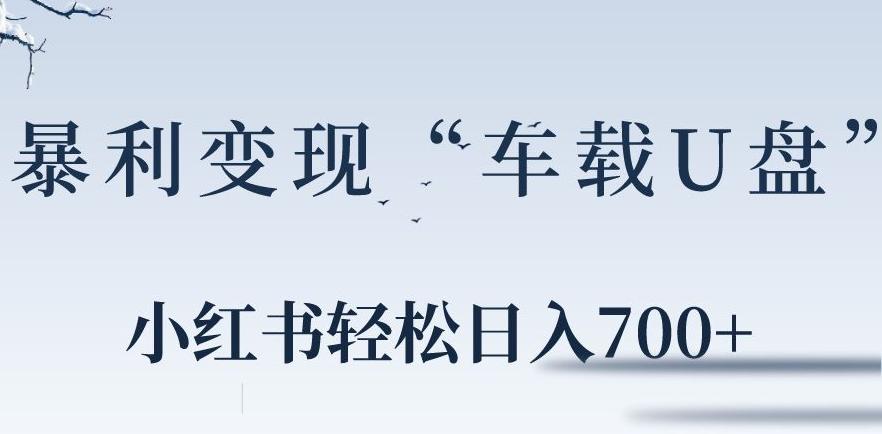 小红书“车载U盘”暴利引流，日入700+-精品虚拟资源库