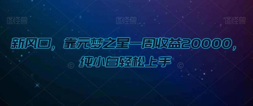新风口，靠元梦之星一周收益20000，纯小白轻松上手-精品虚拟资源库
