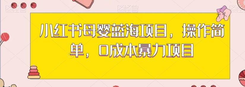 小红书母婴蓝海项目，操作简单，0成本暴力项目-精品虚拟资源库