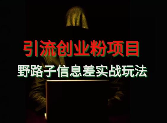 【引流创业粉】野路子信息差玩法实战教学-精品虚拟资源库