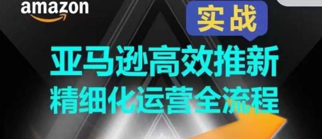 亚马逊高效推新精细化运营全流程，全方位、快速拉升产品排名和销量!-精品虚拟资源库