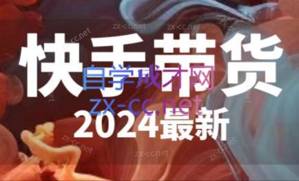 快手带货(2024最新)-精品虚拟资源库