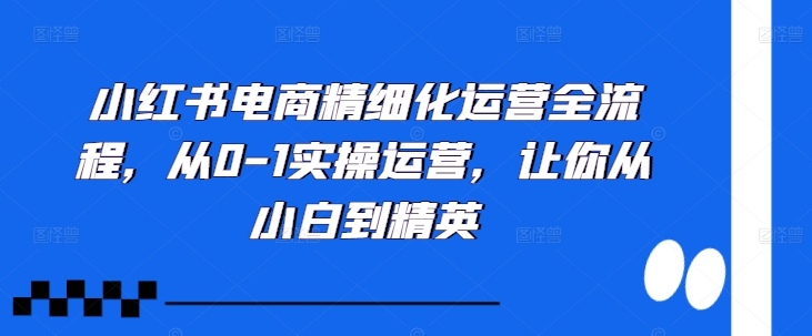 小红书电商精细化运营全流程，从0-1实操运营，让你从小白到精英-精品虚拟资源库