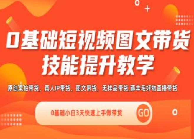 0基础短视频图文带货实操技能提升教学(直播课+视频课),0基础小白3天快速上手做带货-精品虚拟资源库