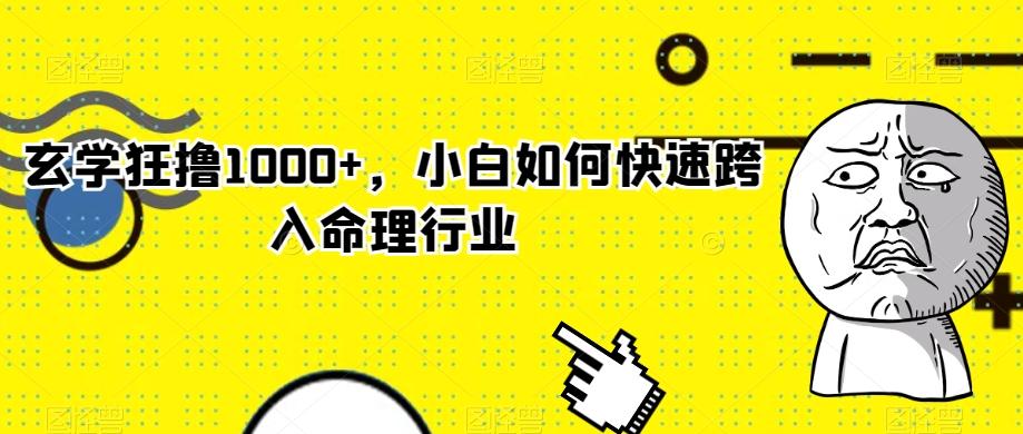 玄学狂撸1000+，小白如何快速跨入命理行业-精品虚拟资源库