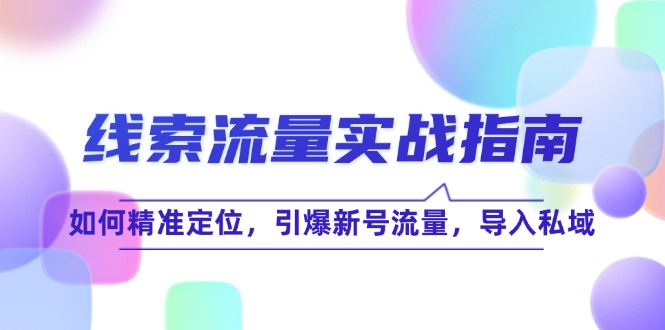 线 索 流 量-实战指南：如何精准定位，引爆新号流量，导入私域-精品虚拟资源库