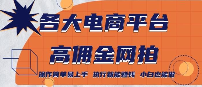 各大电商平台高佣金网拍，操作简单易上手，执行就能赚钱，小白也能做-精品虚拟资源库