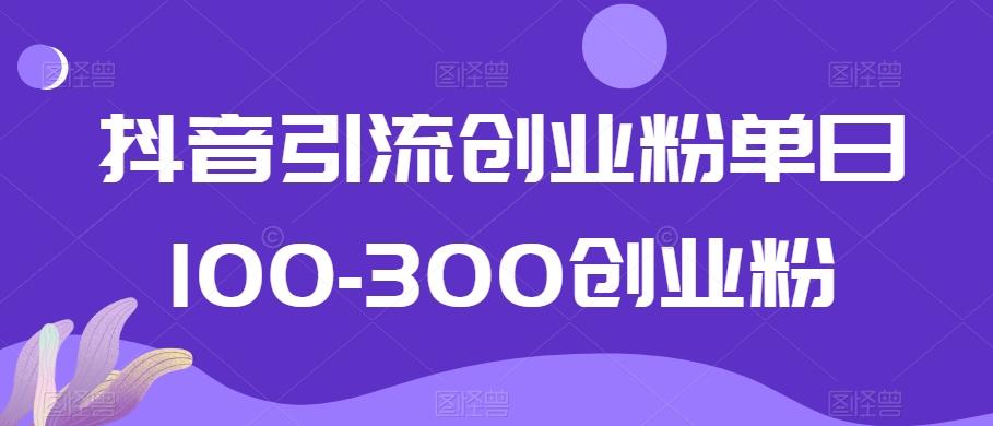 抖音引流创业粉单日100-300创业粉【揭秘】-精品虚拟资源库