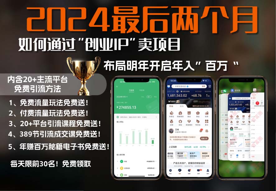 2024最后两个月如何通过”创业IP“卖项目年入”百万“,创业IP+最强引流…-精品虚拟资源库