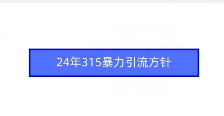 24年315暴力引流方针-精品虚拟资源库