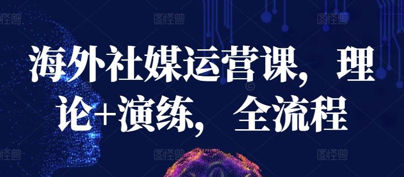 海外社媒运营课，理论+演练，全流程-精品虚拟资源库