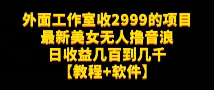 外面工作室收2999的项目最新美女无人撸音浪日收益几百到几千【教程+软件】（仅揭秘）-精品虚拟资源库